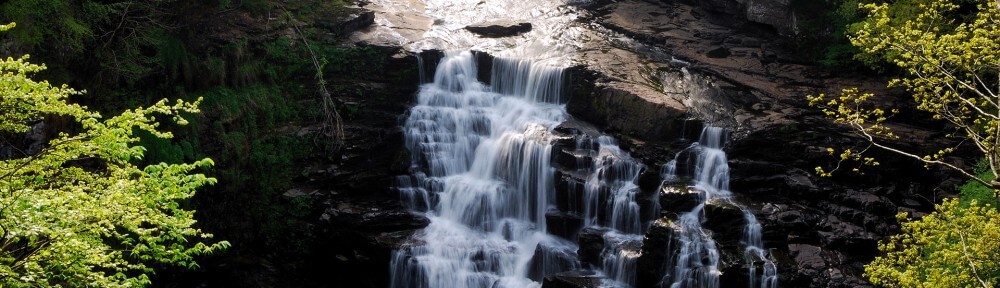 Nachhaltiger Einkauf